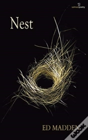 Capa do artigo Nest