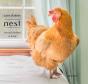 Nest - Preview