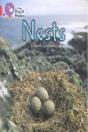 Nests - Preview