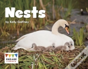 Capa do artigo Nests