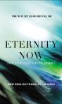 Net Eternity Now New Testament Series Set - Preview