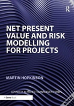Capa do artigo Net Present Value And Risk Modelling For Projects