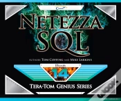 Capa do artigo Netezza Sql