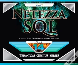 Capa do artigo Netezza Sql