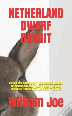 Capa do artigo Netherland Dwarf Rabbit