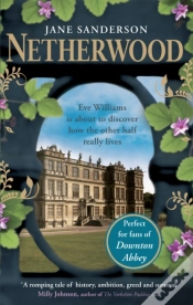 Capa do artigo Netherwood