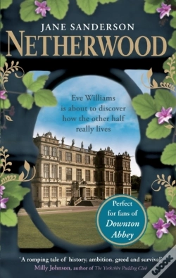 Capa do artigo Netherwood