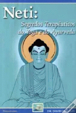 Capa do artigo Neti