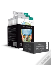 Capa do artigo Netter Flashcards De Anatomia 6ª Ed