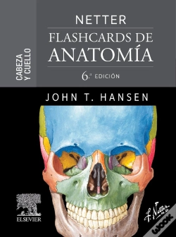 Capa do artigo Netter Flashcards De Anatomia Cabeza Y Cuello 6ª Ed