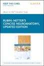 Netter'S Concise Neuroanatomy Updated Edition E-Book - Preview