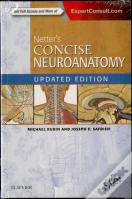 Netter'S Concise Neuroanatomy Updated Edition