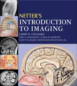 Capa do artigo Netter'S Introduction To Imaging E-Book
