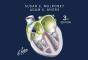 Netter'S Physiology Flash Cards - E-Book - Preview