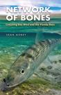 Network Of Bones - Preview
