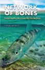 Network Of Bones - Preview