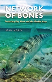 Capa do artigo Network Of Bones