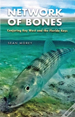 Capa do artigo Network Of Bones