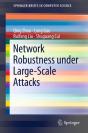 Network Robustness Under Large-Scale Attacks - Preview