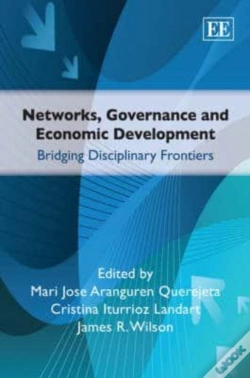 Capa do artigo Networks, Governance And Economic Development
