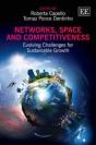 Networks, Space And Competitiveness - Evolving Challenges For Sustainable Growth - Preview