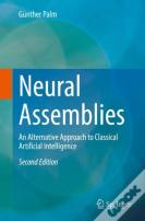 Neural Assemblies