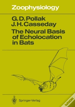 Capa do artigo Neural Basis Of Echolocation In Bats