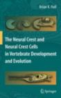 Neural Crest And Neural Crest Cells In Vertebrate Development And Evolution - Preview