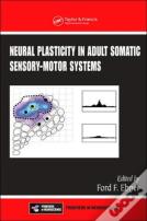 Neural Plasticity In Adult Somatic Sensory-Motor Systems