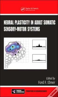 Capa do artigo Neural Plasticity In Adult Somatic Sensory-Motor Systems