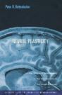 Neural Plasticity - Preview