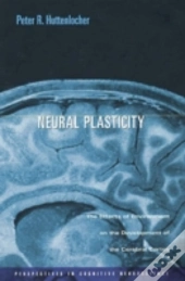 Neural Plasticity