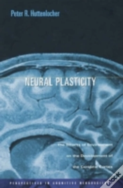 Capa do artigo Neural Plasticity