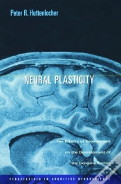 Capa do artigo Neural Plasticity