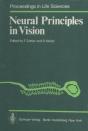 Neural Principles In Vision - Preview