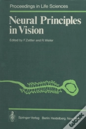 Capa do artigo Neural Principles In Vision
