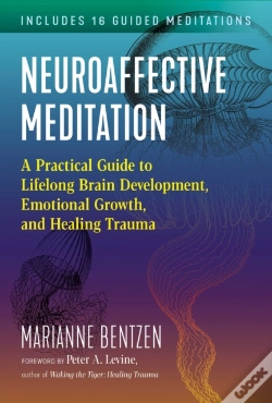 Capa do artigo Neuroaffective Meditation