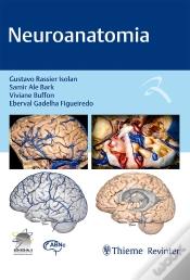 Capa do artigo Neuroanatomia