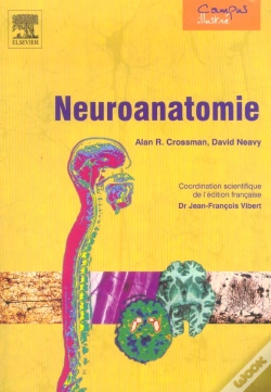 Capa do artigo Neuroanatomie