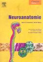 Neuroanatomie - Preview