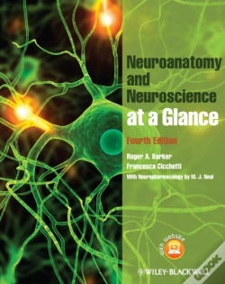 Capa do artigo Neuroanatomy And Neuroscience At A Glance