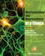 Neuroanatomy And Neuroscience At A Glance - Preview