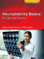 Neuroanatomy Basics: A Clinical Guide - Preview