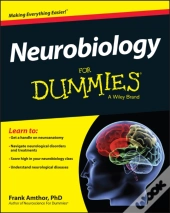 Neurobiology For Dummies