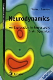Neurodynamics: An Exploration In Mesoscopic Brain Dynamics