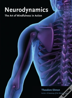 Capa do artigo Neurodynamics