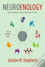 Capa do artigo Neuroenology