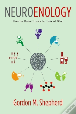 Capa do artigo Neuroenology