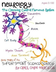 Neurology