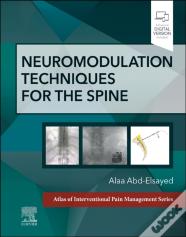 Neuromodulation Techniques For The Spine